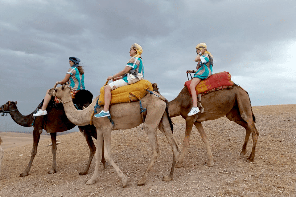 Dromadaire au Désert d’Agafay: Privée