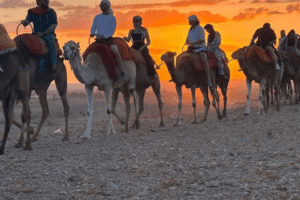 Pack : Quad, Dromadaire et Dîner Spectacle au Désert d’Agafay: Privée